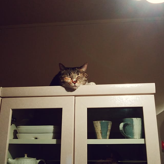 tomo1220さんの実例写真