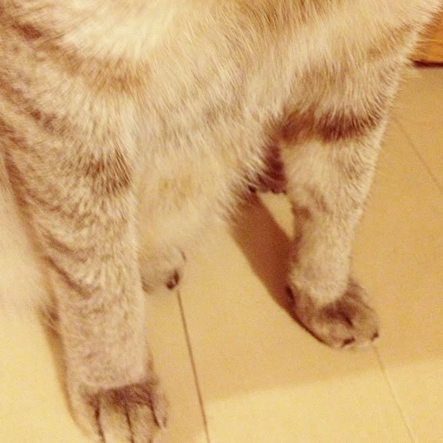 kmstmさんの実例写真