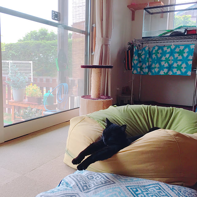 nanaさんの実例写真