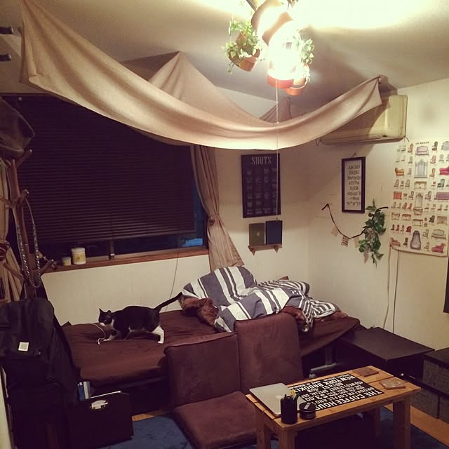 Takaoさんの実例写真