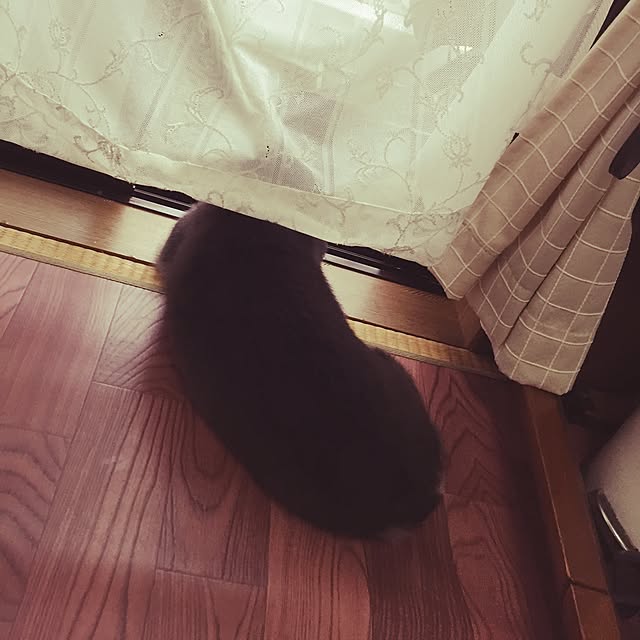 cocochanさんの実例写真