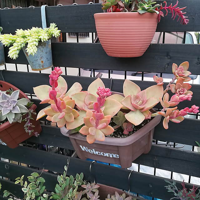 VERANDARJUNさんの実例写真