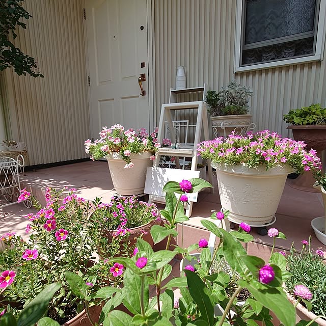 fleur-mamanさんの部屋