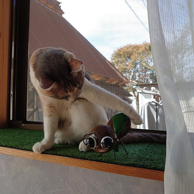 fukuさんの実例写真
