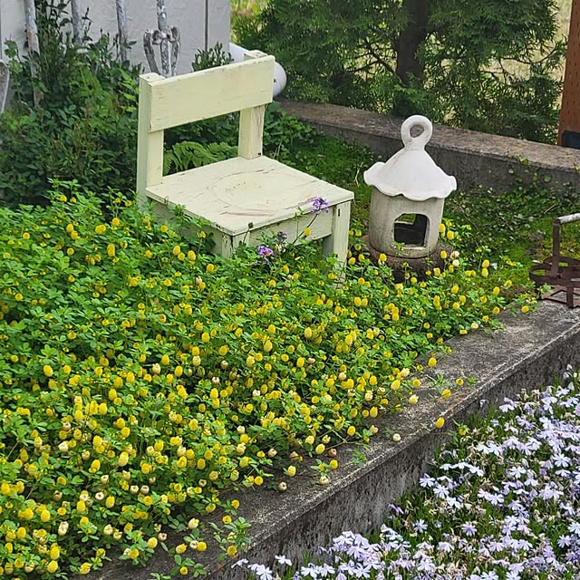 reireiさんの部屋