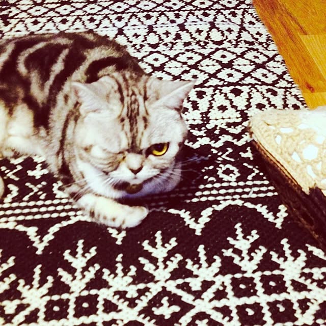 fuku48さんの実例写真