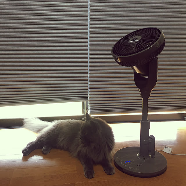 hanioさんの実例写真