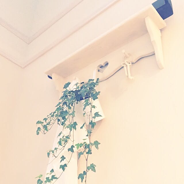 mokenyanさんの実例写真