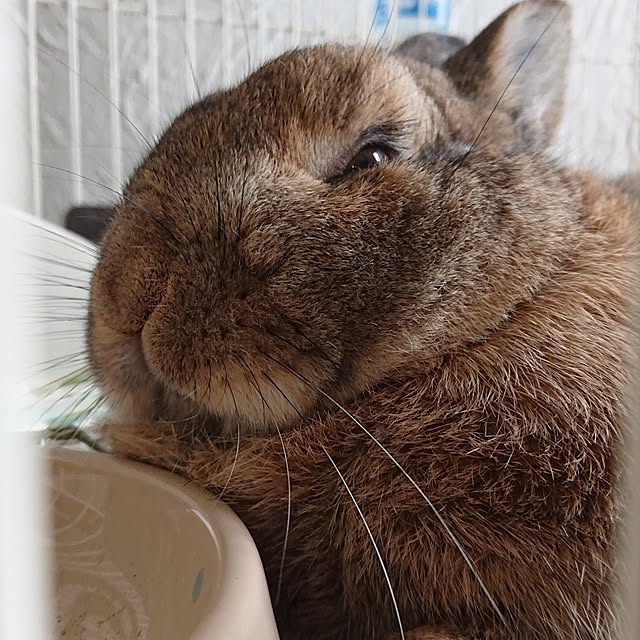 yuuuuさんの部屋