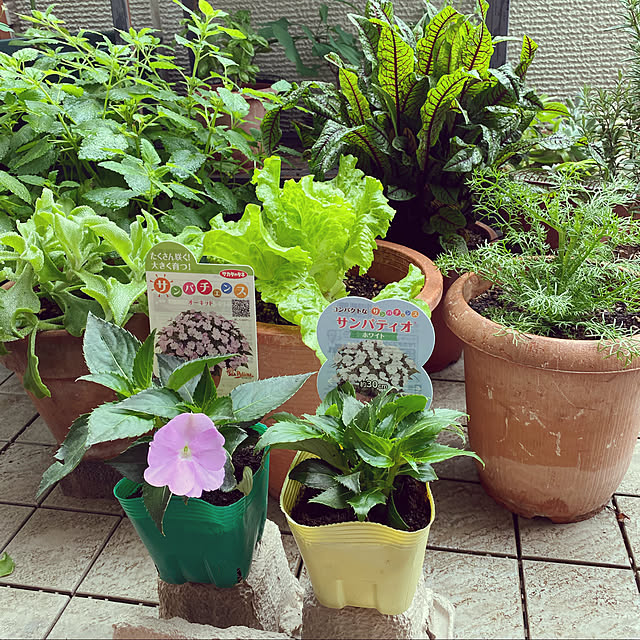 m.h.mammyさんの実例写真