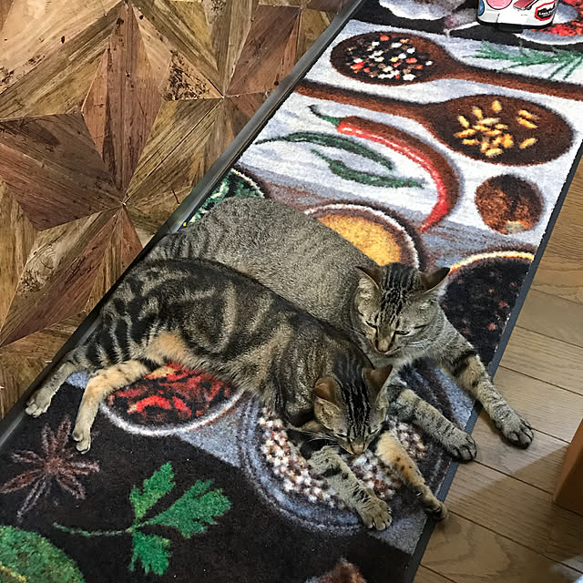pepeさんの実例写真