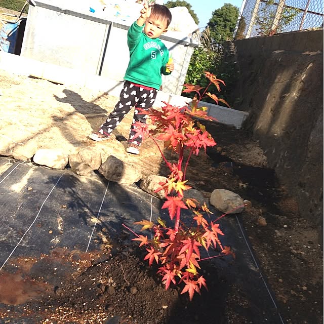 y.mamaさんの実例写真