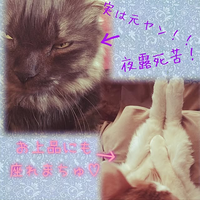 maria.rさんの実例写真
