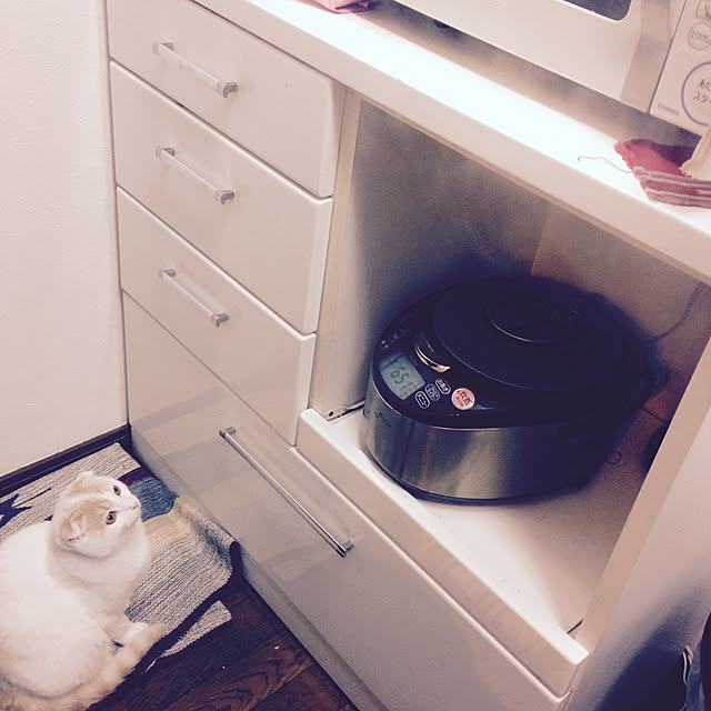 onojiijiさんの実例写真