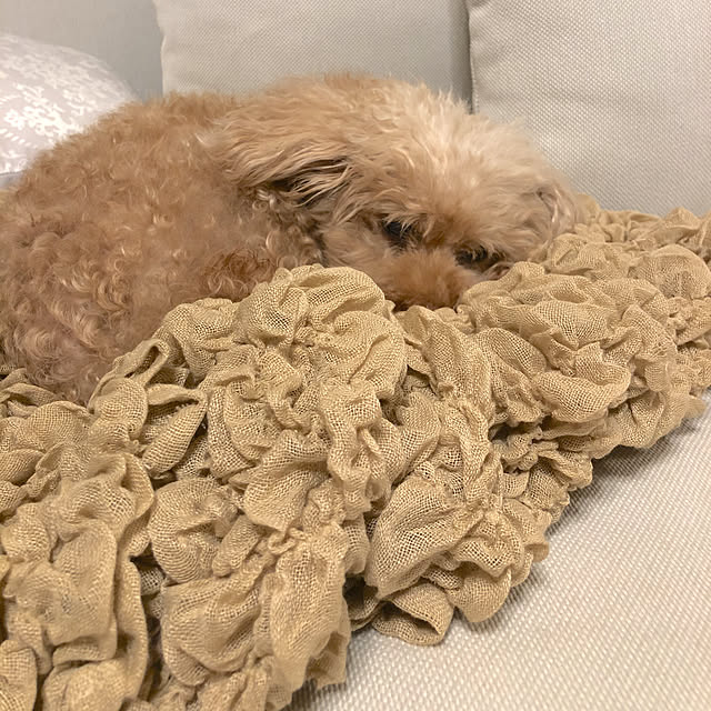 jasmineさんの実例写真