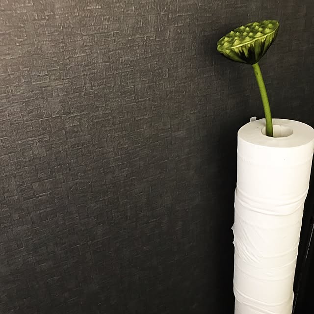 riakanaさんの実例写真