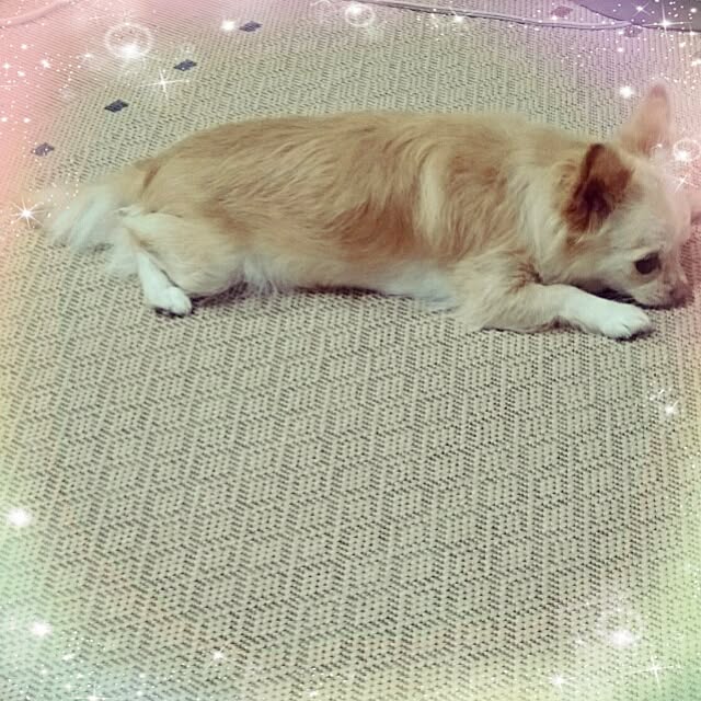 michiさんの実例写真