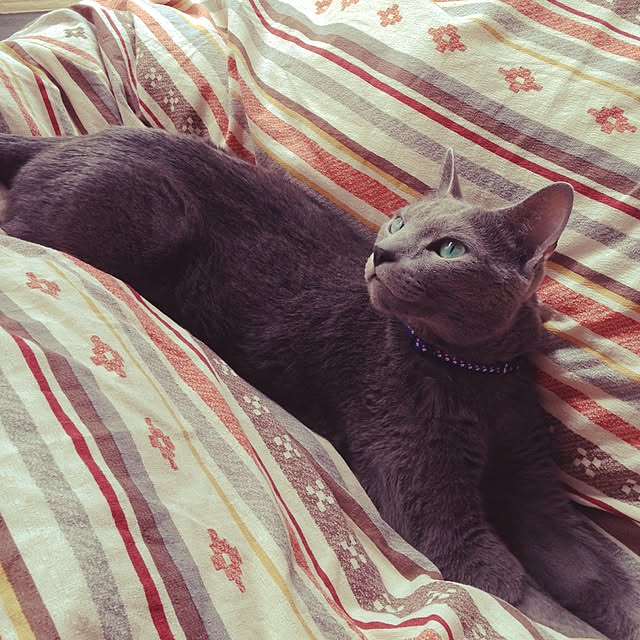 hacoさんの実例写真
