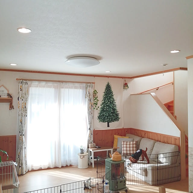 satosanさんの実例写真