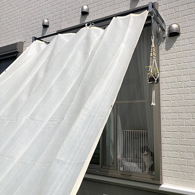 mikenekoさんの部屋