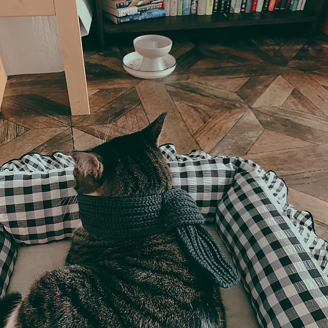 hoさんの実例写真