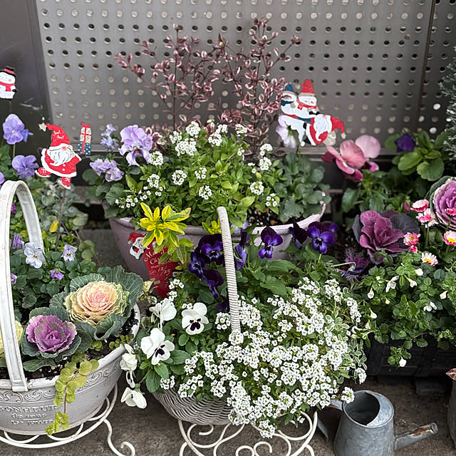 maayaさんの部屋