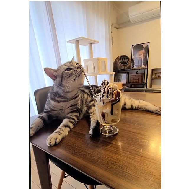 lovepeaceさんの実例写真