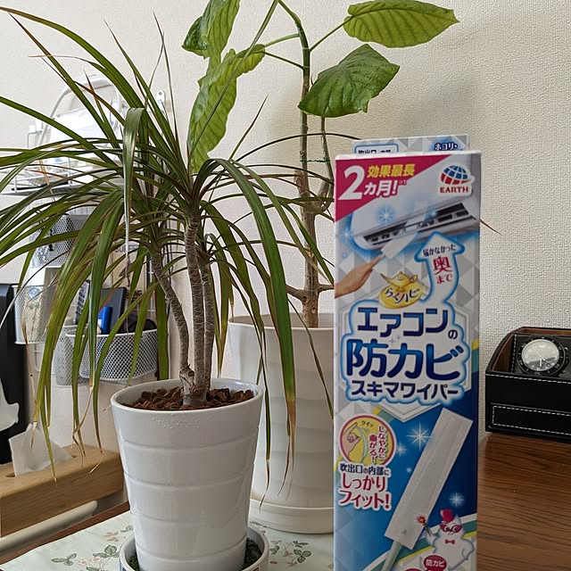 annaさんの実例写真