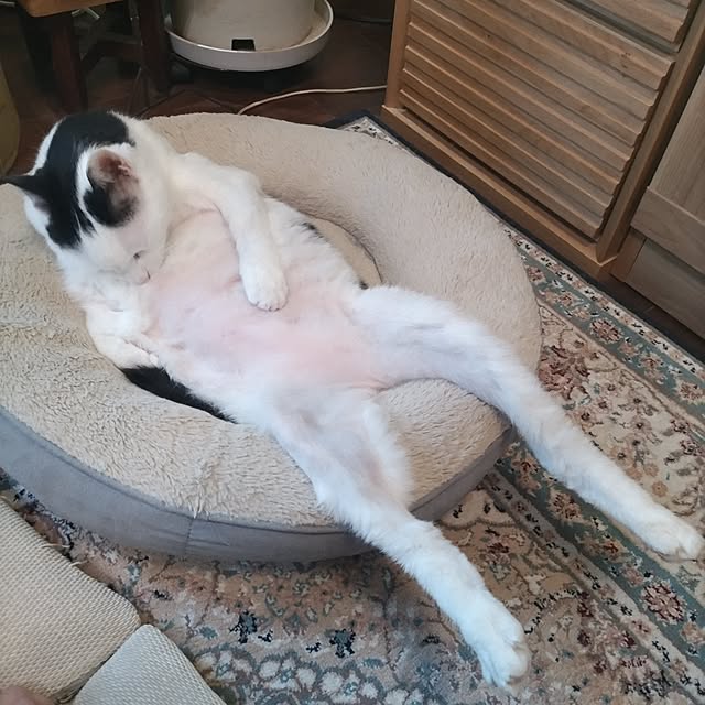 yuuさんの実例写真