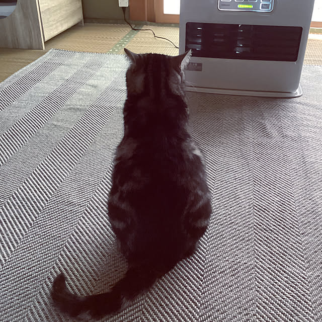 richanさんの部屋