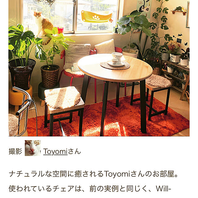 Toyomiさんの実例写真