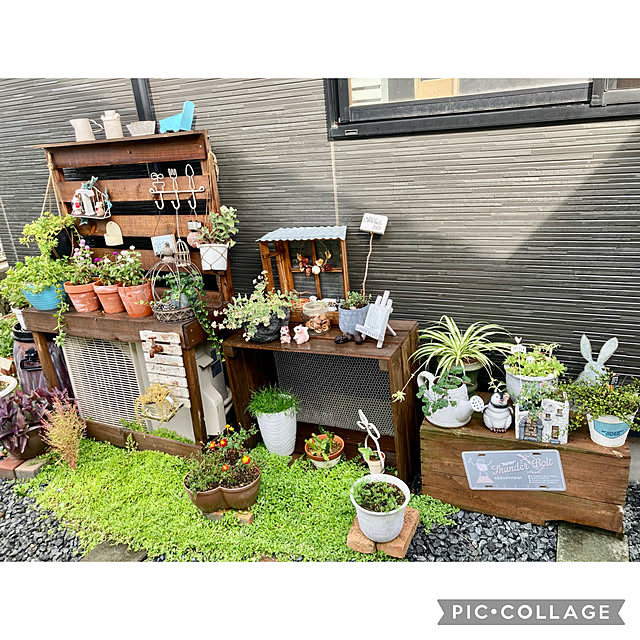 CoCo0617さんの実例写真