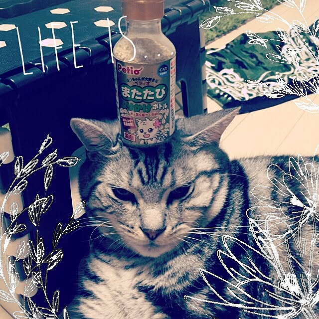 hiro_mashさんの実例写真