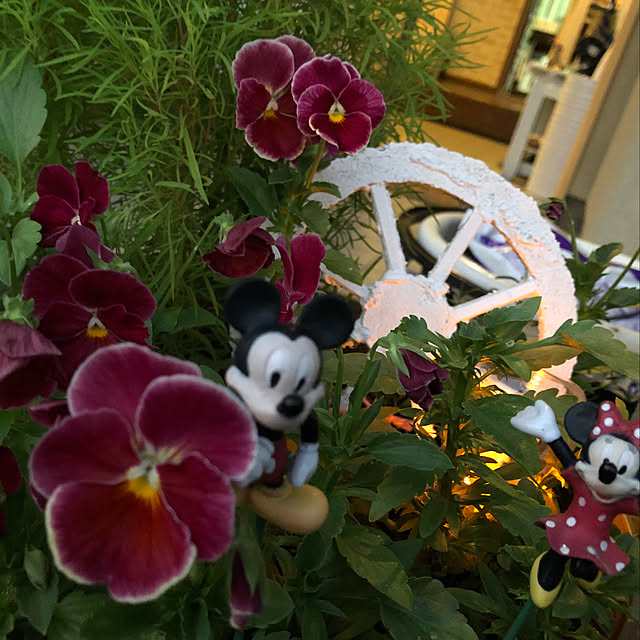 niko25reiさんの実例写真
