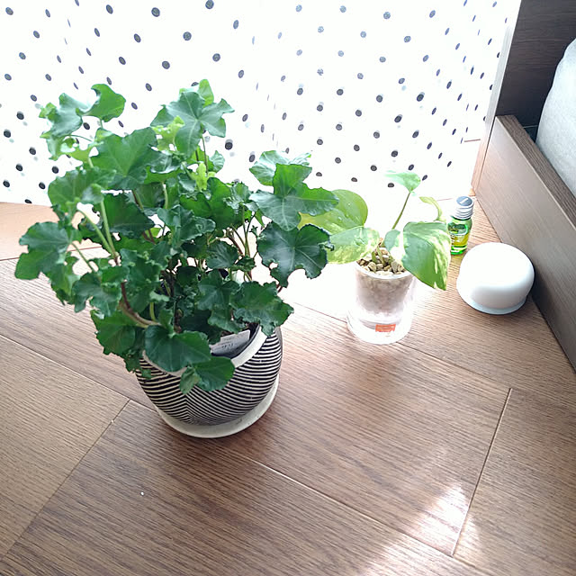 ramuneさんの実例写真