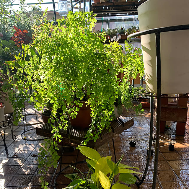 Aqettyさんの部屋