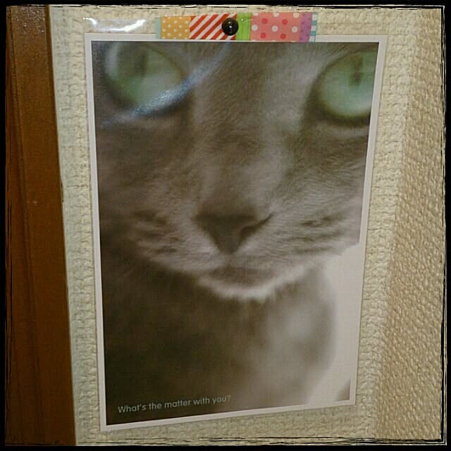 makicoさんの実例写真