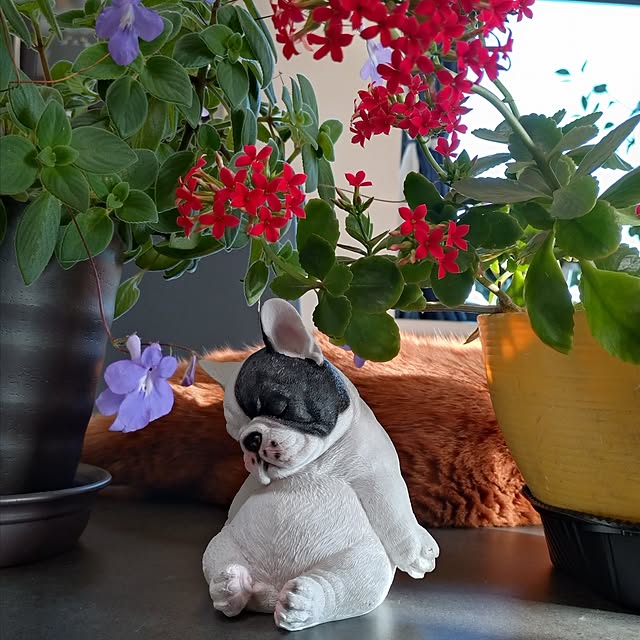 NOAHさんの部屋