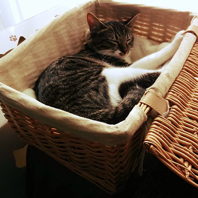 kooさんの実例写真