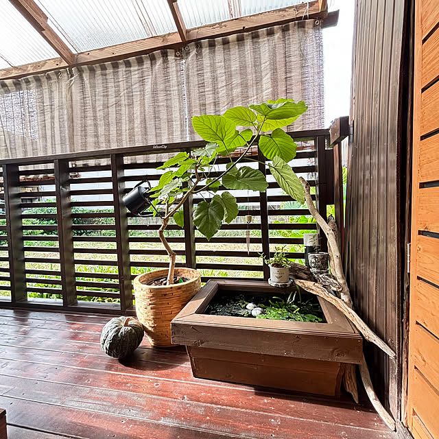 kyoko1124koさんの部屋