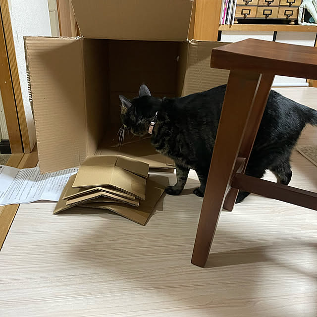 momocchiさんの実例写真