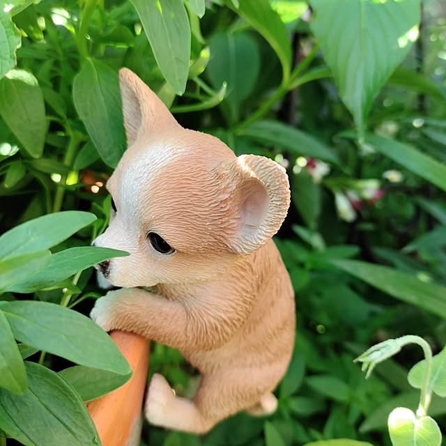 kiraさんの実例写真