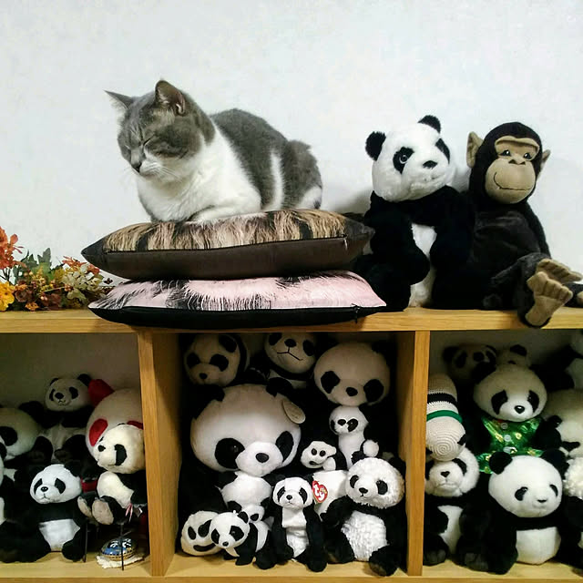 lovepandaさんの実例写真