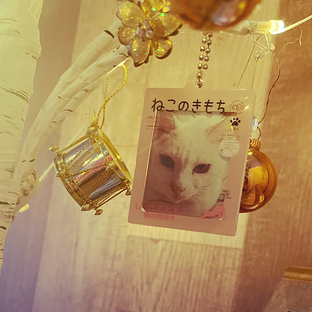 Maiさんの部屋