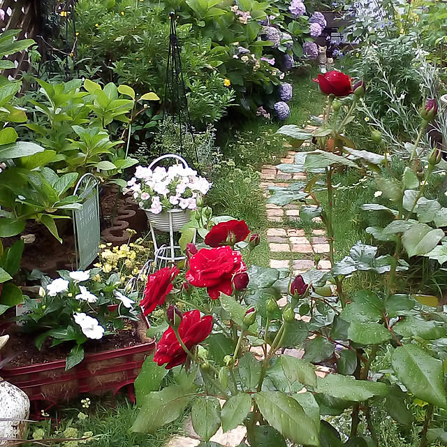 mariagardenさんの実例写真