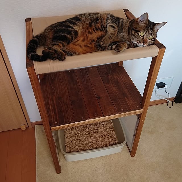 carbonaraさんの実例写真