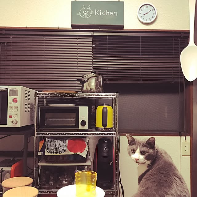 hacchiさんの実例写真