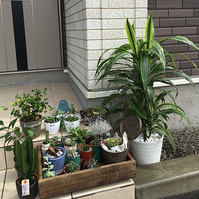 tetra163さんの実例写真