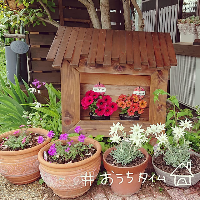 Toraziさんの実例写真