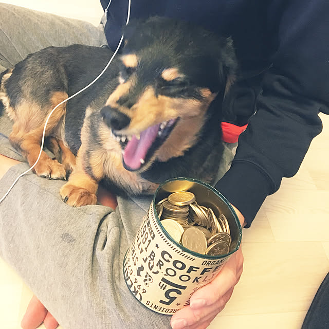 ohanaさんの実例写真
